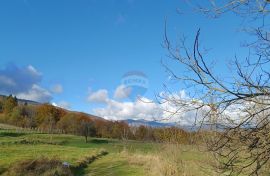 Gorski Kotar, Plemenitaš - samostojeća kuća na prostranoj okućnici 5522 m2, Vrbovsko, Maison