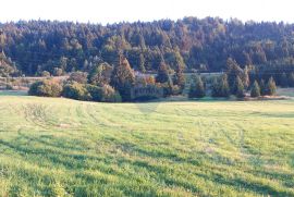 Gorski Kotar, Stara Sušica - samostojeća kuća sa dva stana i velikom okućnicom, Ravna Gora, House