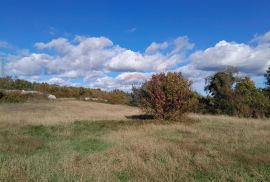 Istra,Filipana, građevinsko zemljište, Marčana, Land