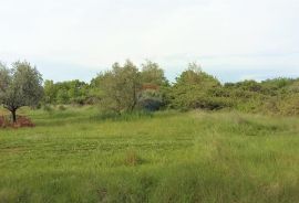 Umag, Lovrečica - teren blizu mora/plaže, Umag, Land