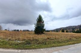 Gorski Kotar, Ravna Gora - kuća sa pomoćnim objektima i prekrasnom okućnicom na osami 1527 m2, Ravna Gora, Casa