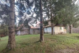 Ogulin, seosko imanje sa 90000 m2 okućnice, Ogulin, House