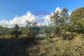 Istra, Kanfanar, građevinsko zemjlište gospodarske namjene, Kanfanar, Land