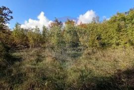 Istra, Kanfanar, građevinsko zemjlište gospodarske namjene, Kanfanar, Land