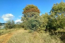 Istra, Kanfanar, građevinsko zemjlište gospodarske namjene, Kanfanar, Land