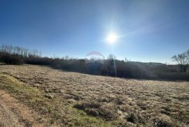 Istra, Karojba građevinski teren pravilnog oblika, Karojba, Terrain