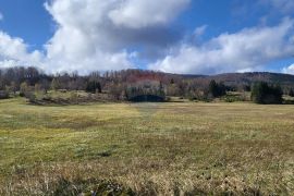 Gorski kotar, Stari Laz - Poljoprivredni teren 10,560 m2, Ravna Gora, Земля