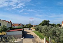 Poreč okolica: Nova moderna kuća prirodnog okruženja, Poreč, House