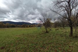 Brinje, kuće sa zemljištem 37250 m2, Brinje, House