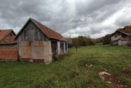 Brinje, kuće sa zemljištem 37250 m2, Brinje, Kuća