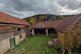 Brinje, kuće sa zemljištem 37250 m2, Brinje, Дом