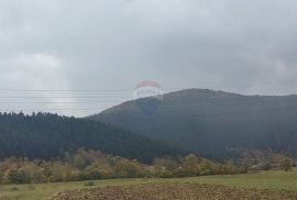 Brinje, kuće sa zemljištem 37250 m2, Brinje, Kuća