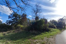 Žminj, okolica, građevinsko zemljište 2290 m2, Gračišće, Terreno