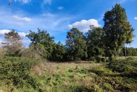 Žminj, okolica, građevinsko zemljište 2290 m2, Gračišće, Terreno