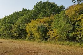 Istra, Valtura prekrasno poljoprivredno zemljište na mirnoj lokaciji, Ližnjan, Land