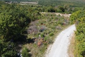 ISTRA, LABIN - Teren 56000 m2 u komadu, do asfalta, Labin, Zemljište