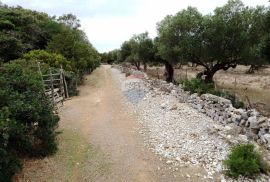 MALI LOŠINJ - ĆUNSKI - građevinski teren sa kućom + negrađevinski, Mali Lošinj, Terra