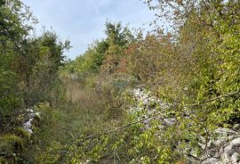 Baderna - okolica, poljoprivredno zemljište ukupne površine oko 21000m2, Poreč, Terreno