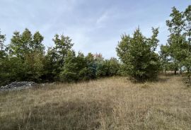 Baderna - okolica, poljoprivredno zemljište ukupne površine oko 21000m2, Poreč, Terreno