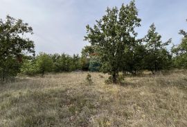 Baderna - okolica, poljoprivredno zemljište ukupne površine oko 21000m2, Poreč, Terreno