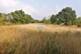 BADERNA, okolica- građevinsko zemljište stambene namjene, Poreč, أرض