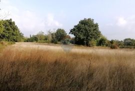 BADERNA, okolica- građevinsko zemljište stambene namjene, Poreč, Terreno