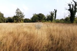 BADERNA, okolica- građevinsko zemljište stambene namjene, Poreč, Terrain