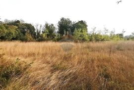 BADERNA, okolica- građevinsko zemljište stambene namjene, Poreč, Terreno