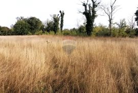 BADERNA, okolica- građevinsko zemljište stambene namjene, Poreč, Land