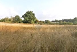 BADERNA, okolica- građevinsko zemljište stambene namjene, Poreč, Land