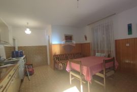 Brinje, kuća na parceli od 1230 m2, Brinje, Famiglia