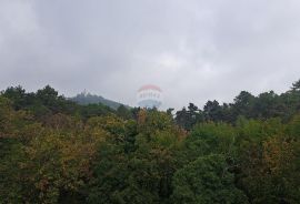 Opatija,Veprinac okolica,samostojeća kuća u okružju prirode i zelenila, Opatija - Okolica, Kuća