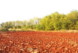 Umag - Bašanija, 600 m od mora, Umag, Terrain