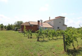 Vodnjan,okolica,kuća, garaža i imanje za OPG, Vodnjan, House