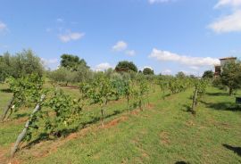 Vodnjan,okolica,kuća, garaža i imanje za OPG, Vodnjan, Σπίτι