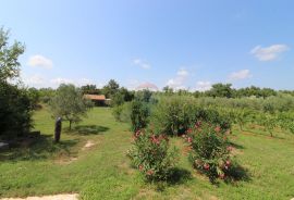 Vodnjan,okolica,kuća, garaža i imanje za OPG, Vodnjan, Haus