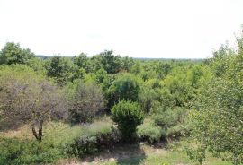 Vodnjan,okolica,kuća, garaža i imanje za OPG, Vodnjan, Σπίτι