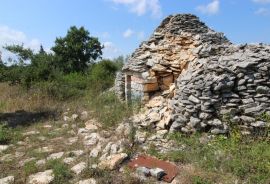 Istra,Vodnjan okolica,građevinsko-poljoprivredna parcela, Vodnjan, Arazi