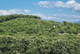 Rab, Kampor, šuma i maslinik s kućicom!, Rab, Tierra