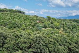 Rab, Kampor, šuma i maslinik s kućicom!, Rab, Land