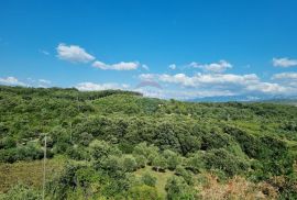 Rab, Kampor, šuma i maslinik s kućicom!, Rab, Land