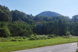 Gorski kotar, Kuća u Brodu na Kupi, Delnice, Casa