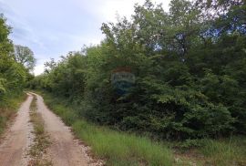 Istra,Korenići 1km od sela,1000m2, Kanfanar, Земля