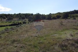 Građevinsko zemljište s pogledom na Motovun, Karojba, Terra