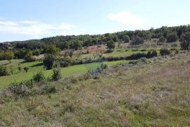 Građevinsko zemljište s pogledom na Motovun, Karojba, Land