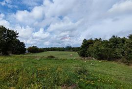 Marčana, industrijska zona, dozvola za gradnju, Marčana, Terrain