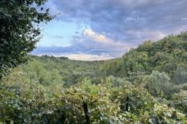 Kuća Prodaje se prekrasna stancija, okružena šumom i vinogradima, s pogledom na Gračišće i Učku!, Gračišće, House