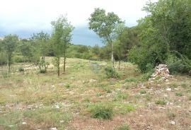 Istra, Kaštel - Buje, atraktivan građevinski teren, Buje, Terreno