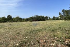 Istra, Višnjan - okolica, građevinsko zemljište na rubu manjeg naselja, Višnjan, Terrain