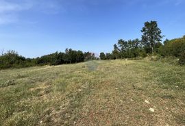 Istra, Višnjan - okolica, građevinsko zemljište na rubu manjeg naselja, Višnjan, Terrain